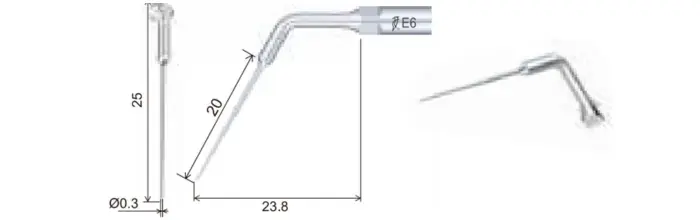 Woodpecker E6 (4)