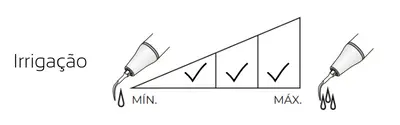 Woodpecker SB2 (4)